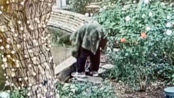 Man arrested in Santa Clarita for fatally slamming turtle to the ground