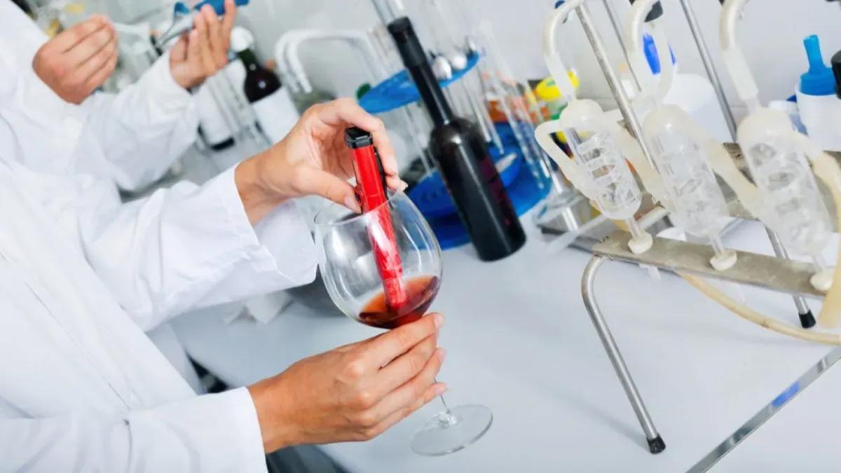 Control de los vinos con los cambios en el INV: el gobierno nacional aclaró cómo es la reforma