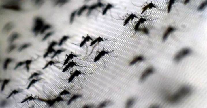 ¿Por qué Santander es el departamento con más casos de dengue?