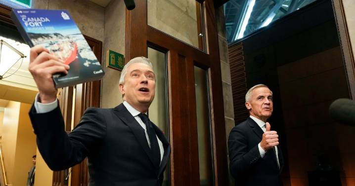 Budget 2025: Carney Liberals survive first confidence vote