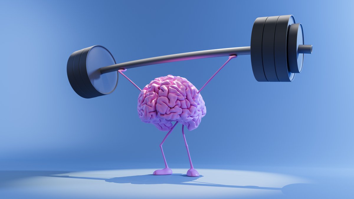 People with more muscle mass and less visceral fat have younger brains, study finds
