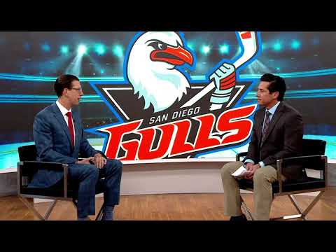 San Diego Gulls host Punk Rock Night, followed by Military Appreciation Day this weekend