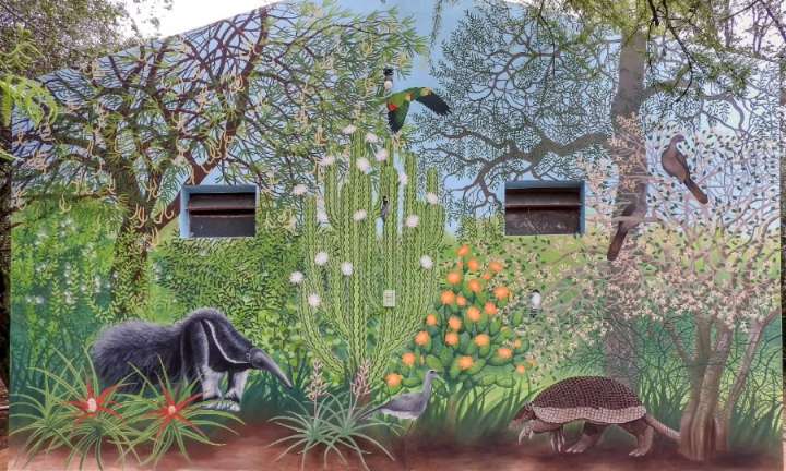 Un destino que crece: la Reserva Natural Formosa ofrece propuestas gratuitas y espacios renovados