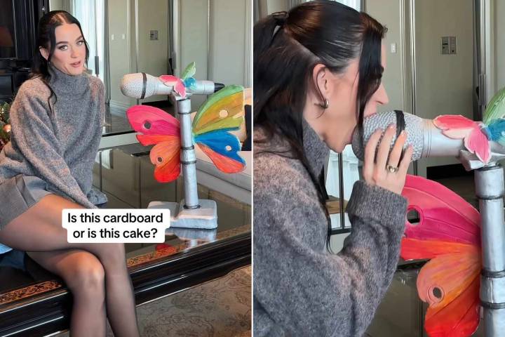 Katy Perry Makes Hilarious Mistake in Cardboard or Cake Game