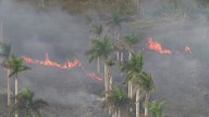 Crews battling brush fire in SW Miami-Dade – NBC 6 South Florida