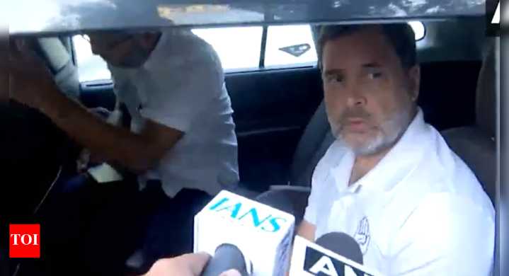 ‘Fake vote, fake photo’: Rahul Gandhi’s ‘wholesale chori’ charge at BJP; claims party will repeat it in Bihar