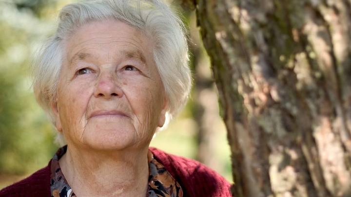 Mennonite Nylons Now Come in Three New Shades of Brown