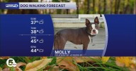 THURSDAY TROT: Chilly but dry for outdoor doggy strolls