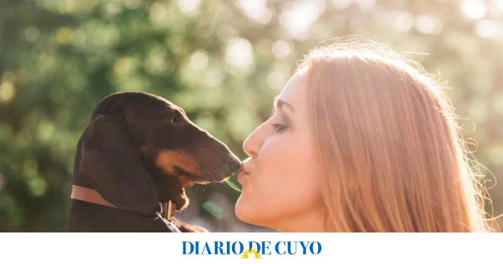 Un estudio respondió si es más higiénico besar a un perro o a una persona con barba