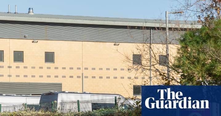 Excessive restraint in immigration detention centres ‘deeply concerning’, report finds