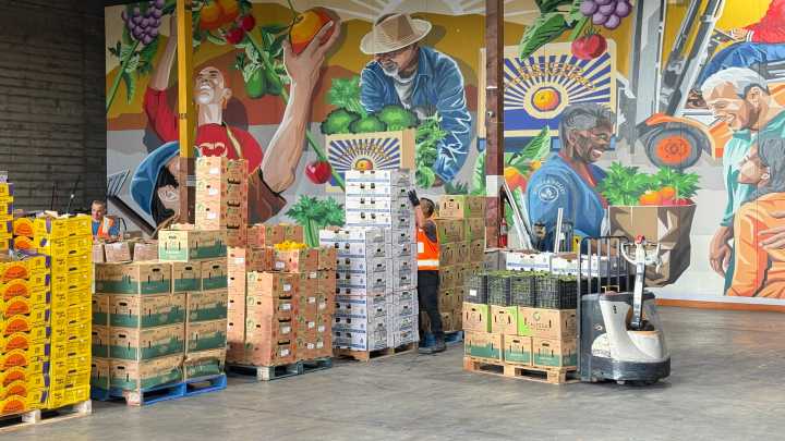 Food Forward – Emergency Produce Distribution in Response to SNAP Cuts in Partnership with YMCA, LA Care