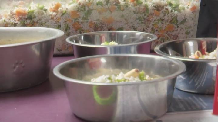 Chef feeds Thanksgiving meal to dogs at Blair County animal shelter