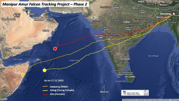 Unstoppable tiny Falcon reaches Somalia from India, covers 5000 km in 5 days
