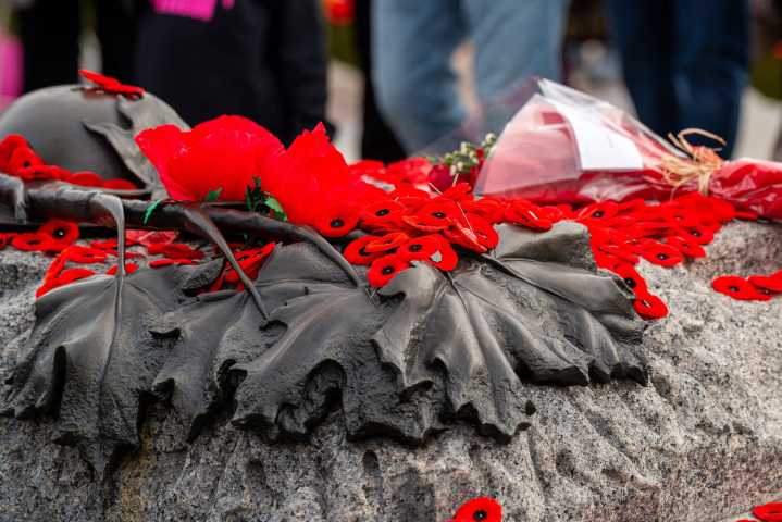 Manitoba NDP marks first official Indigenous Veterans Day