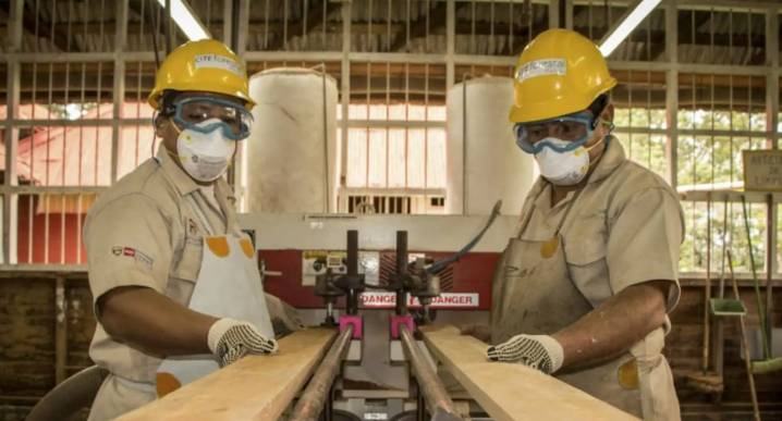 Perú quiere aprovechar su potencial forestal: ¿qué ofrece a los inversionistas?