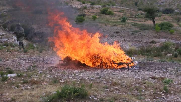 Incineran más de 93 kilos de droga en San Luis Potosí