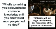 “I Didn’t Know This And Now I Feel Stupid”: 24 Pieces Of Knowledge That Were Supposed To Be Common