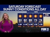 Tampa weather | Sunny and refreshing conditions