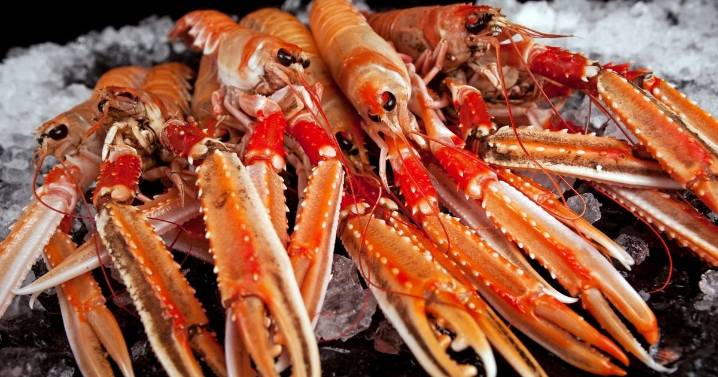 Seafood companies sold out of administration, saving nearly 80 jobs