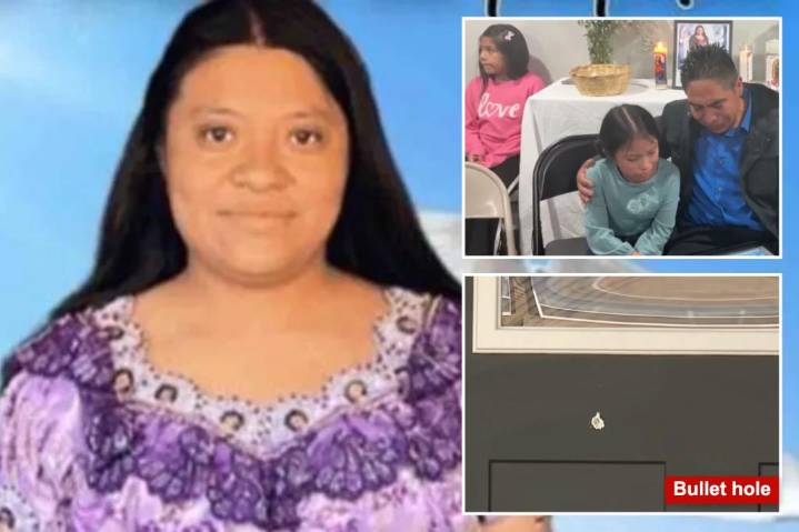 Cleaning woman fatally shot after arriving at the wrong house