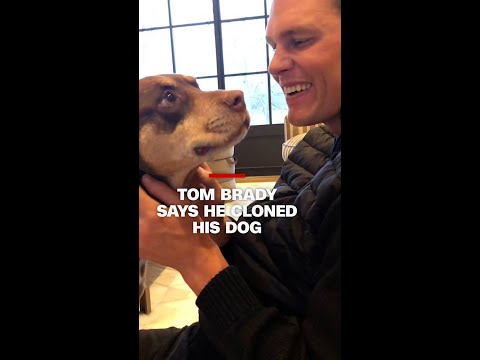 Tom Brady says he cloned his dog
