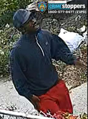 Police seek men who mugged senior