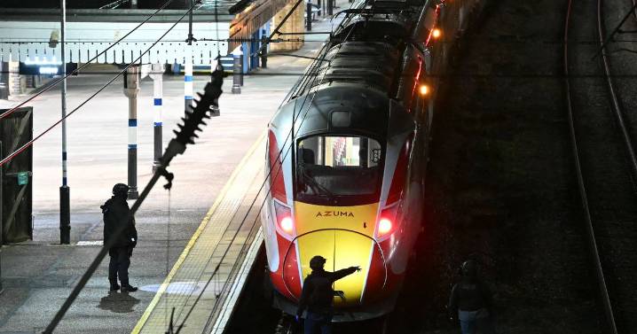 Police reveal nationalities of arrested men after mass stabbings on train