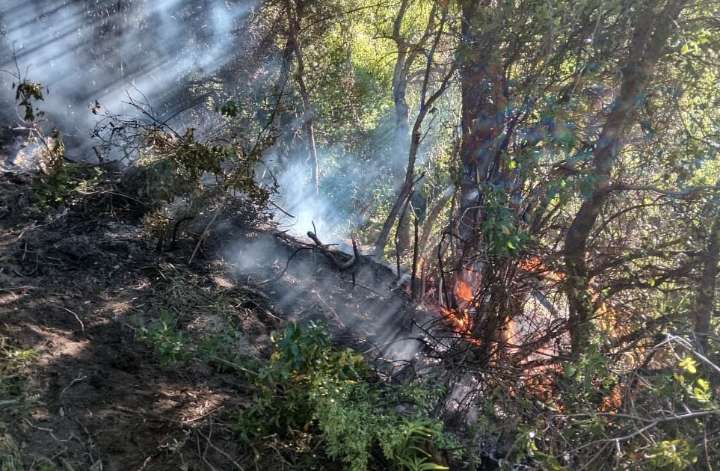 En 48 horas, seis focos de incendio en el cerro Otto, cerca de las viviendas al oeste de Bariloche