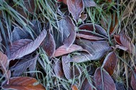 Sunshine will chase away a frosty Sunday morning in the Portland area