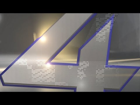 Find your new sidekick: Tanner the pup in Tucson needs a home