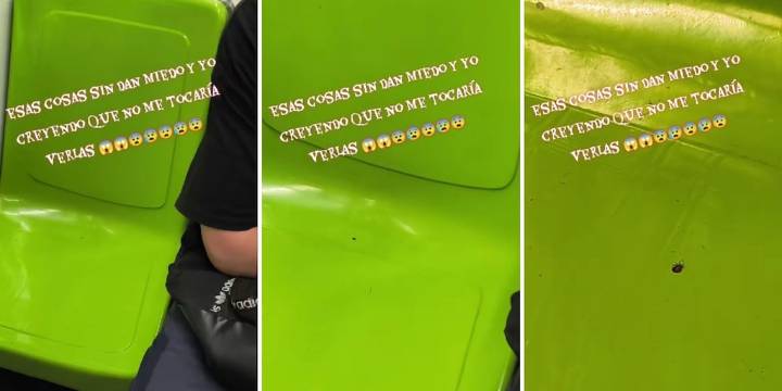 Usuario denuncia nueva plaga de chinches en la Línea 9 del Metro CDMX: " Y la gente todavía se pelea por el asiento"