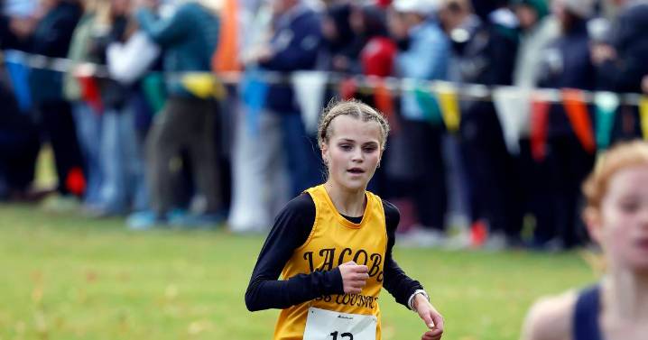 Jacobs girls qualify for state cross country out of Class 3A Hoffman Estates Sectional