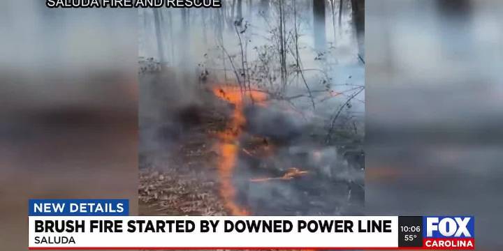 Brush fire in Saluda started by downed power line