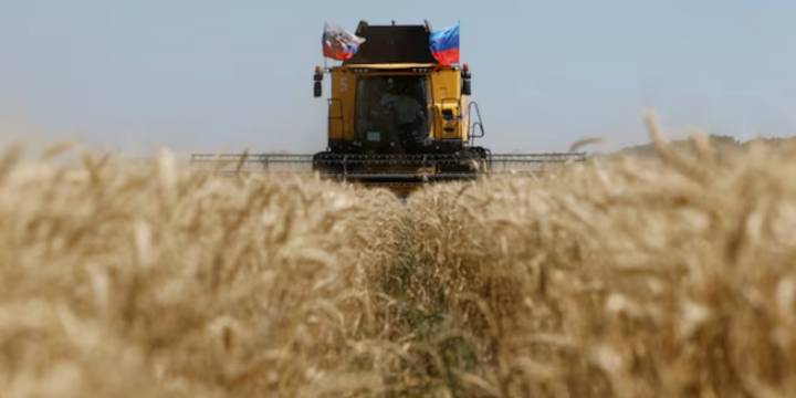 Histórica campaña de trigo