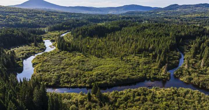 'Once in a generation' opportunity protects wildlife, working forest and recreation in western Maine