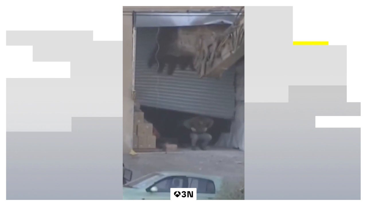 Vídeo: las duras imágenes de dos hombres con las manos en alto antes de ser abatidos por soldados israelíes