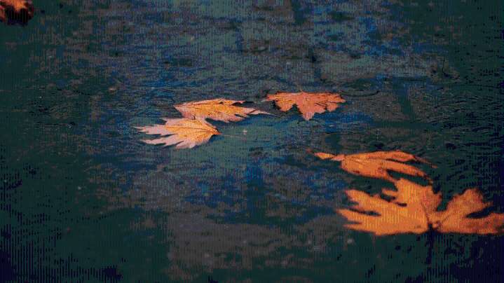 A dry November turns wet on Thursday, colder weather showing up by Thanksgiving