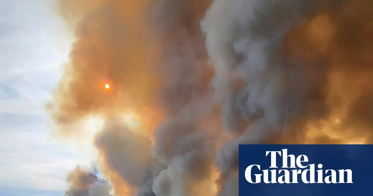 Zombie fires: how Arctic wildfires that come back to life are ravaging forests