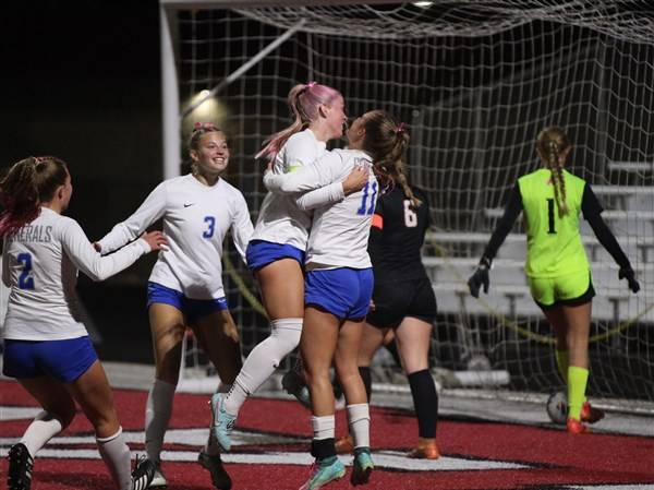 Anthony Wayne edges Cincinnati Anderson in Division II state girls soccer semifinal