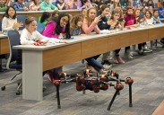 Sophia Greene and Claudia Fernandes: Cuts in science funding now mean far fewer scientists in the future