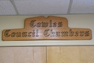 Council accepts grant for library security grille