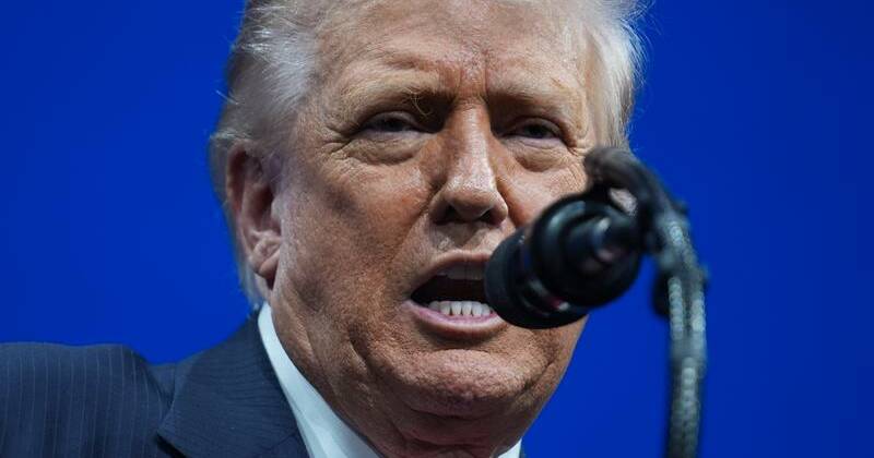 White House defends Trump over 'piggy' call to reporter