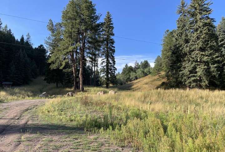 Neighbor: Possible Native American burial site should stop Morrison subdivision