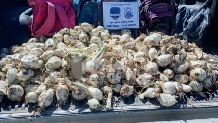 Detienen a dos jóvenes por robar una gran cantidad de cebolla