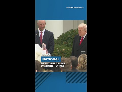 President Trump pardons turkey