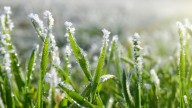 Gardeners urged to complete these 3 tasks before the first frost