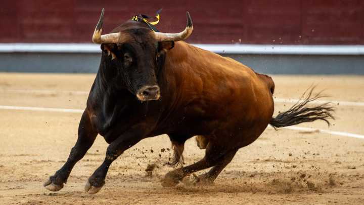 Victoriano del Río, la regularidad y la excelencia de la bravura, en El Albero