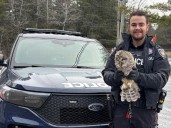 Ottawa police officer aids injured barn owl