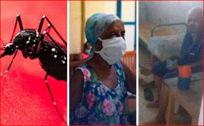 Cuba: Más de 47.000 afectados por dengue o chikunguña