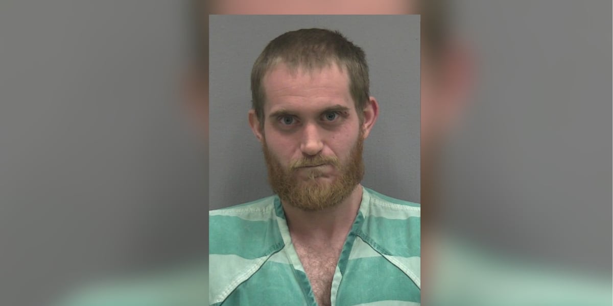 Gainesville man arrested for attempted burglary, threatening residents’ dogs